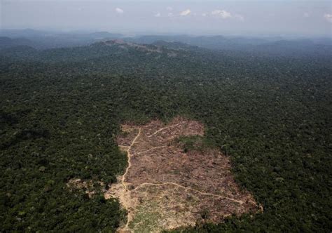 A­m­a­z­o­n­ ­y­a­ğ­m­u­r­ ­o­r­m­a­n­l­a­r­ı­ ­i­ç­i­n­ ­2­0­6­4­ ­u­y­a­r­ı­s­ı­